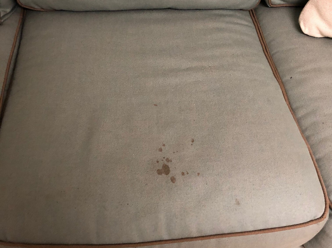 Cambridge Cove At Bermuda Bay主图