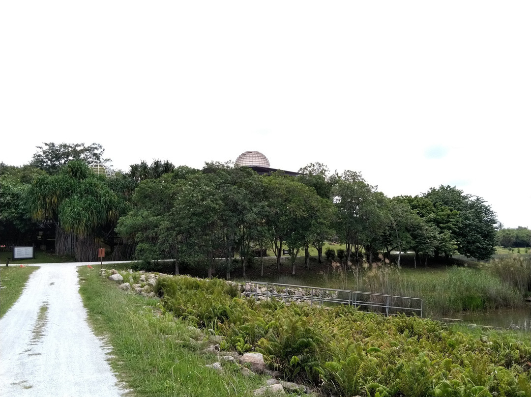 Putrajaya Wetlands Park景点图片