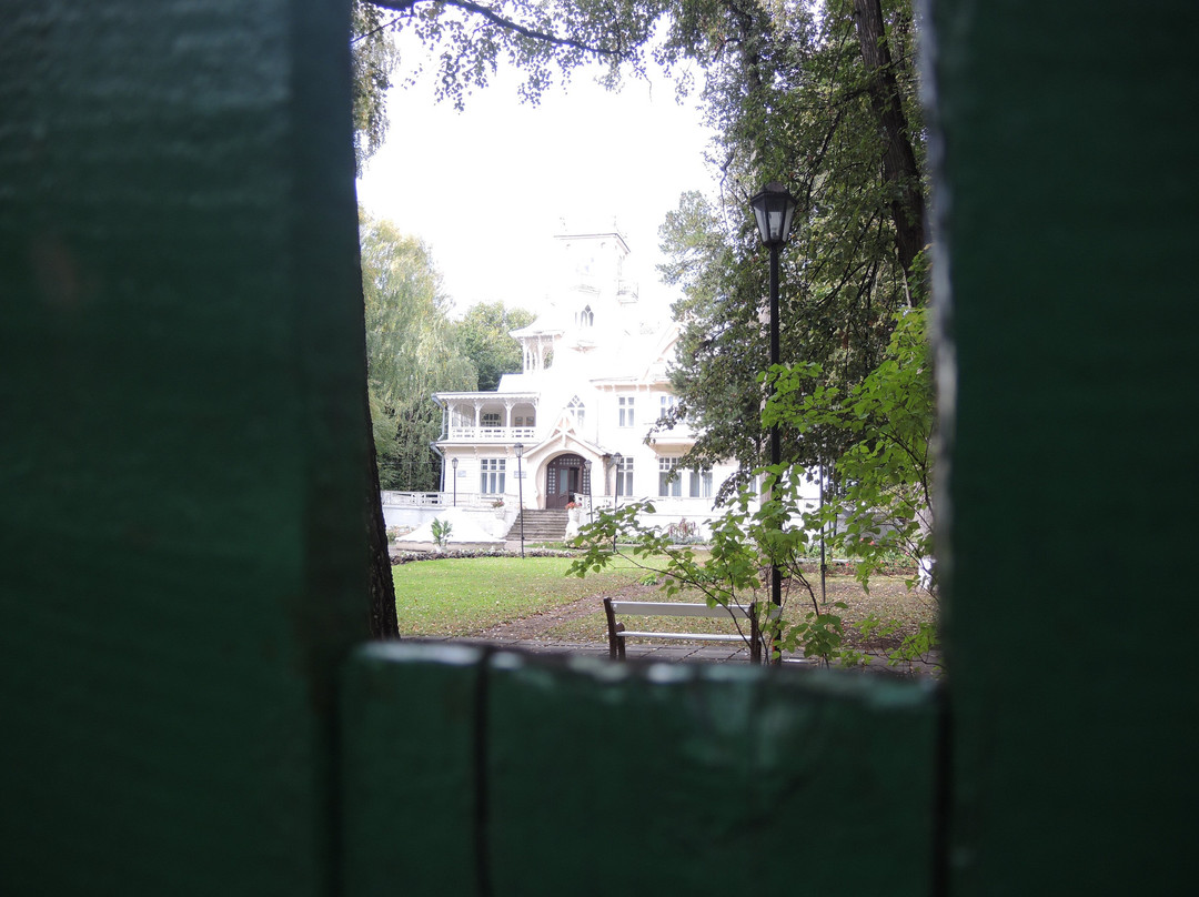 Art-Exhibition Complex Country House of Bashenin景点图片