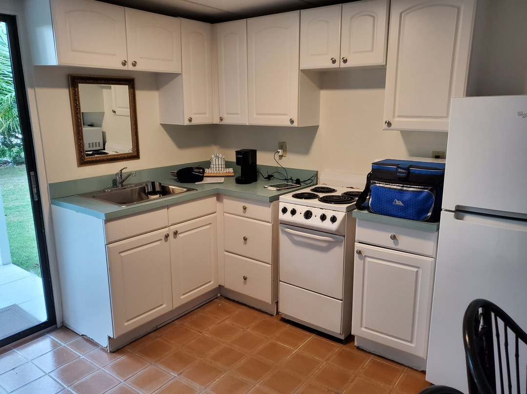 松树&棕榈树度假极度主图