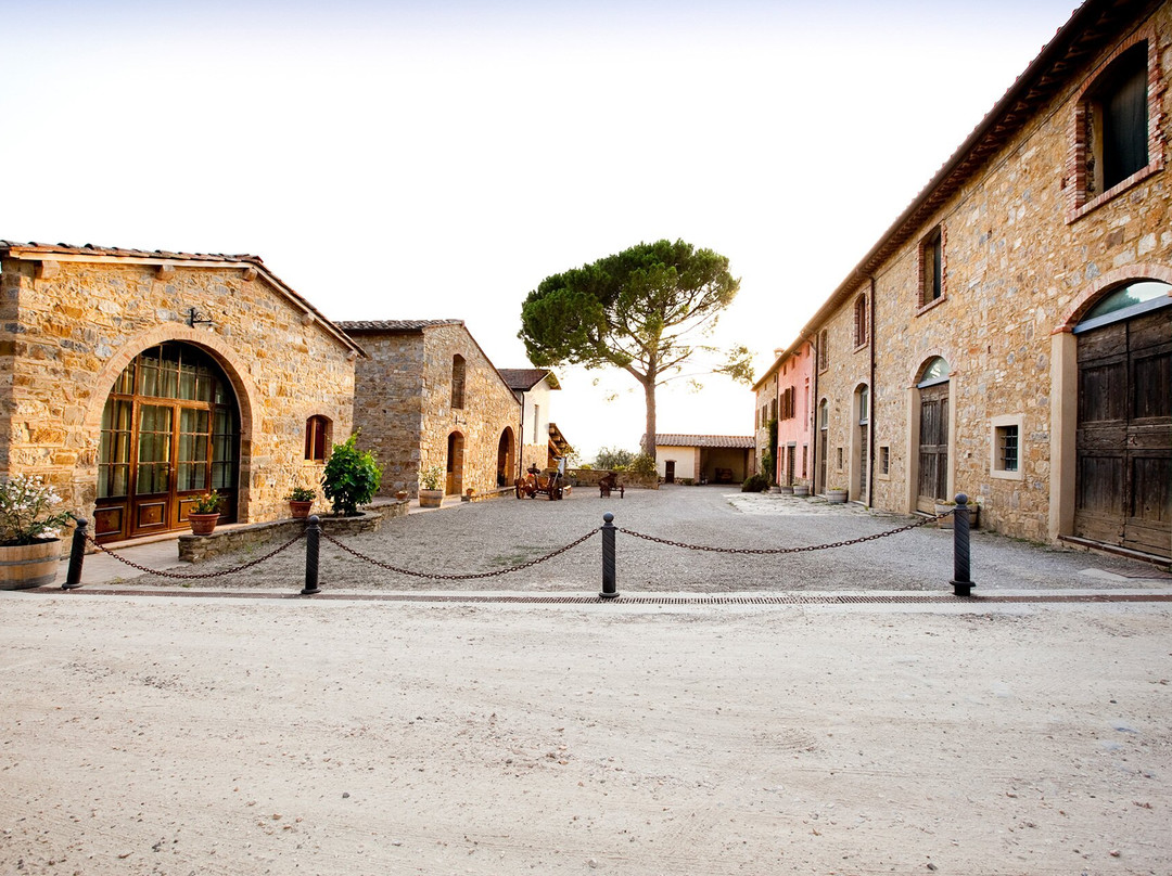 Fattoria le Fonti