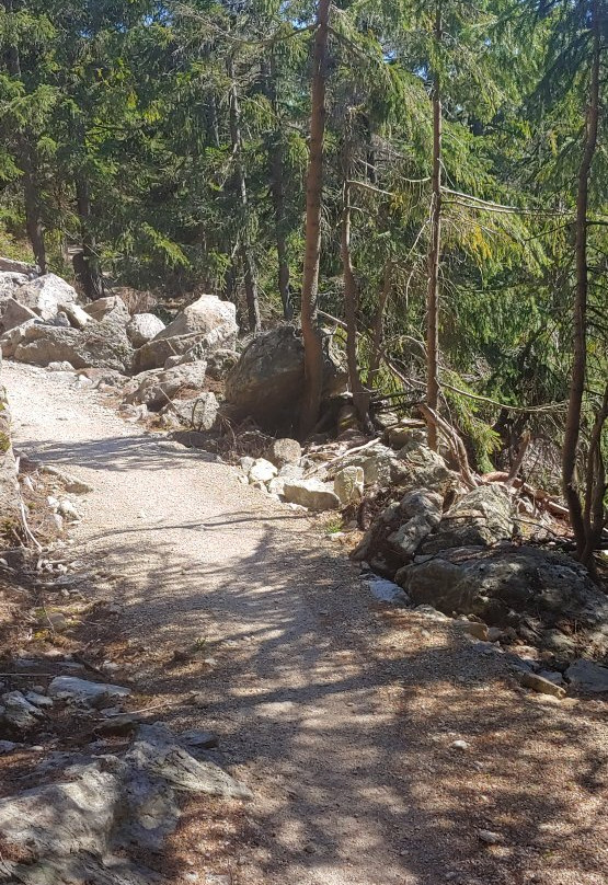 Jakuszyce Hotel Sport & Spa主图