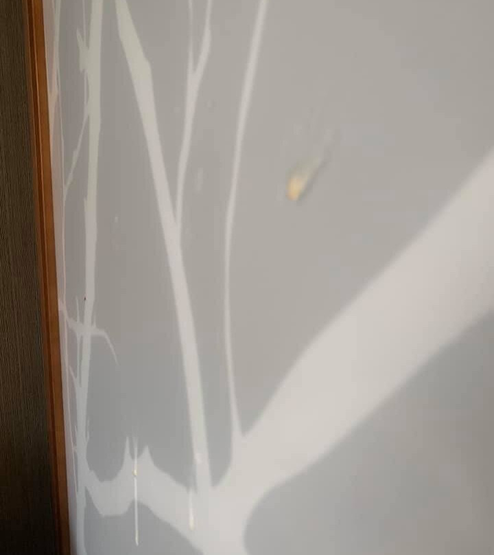 Hyatt Place Lubbock主图