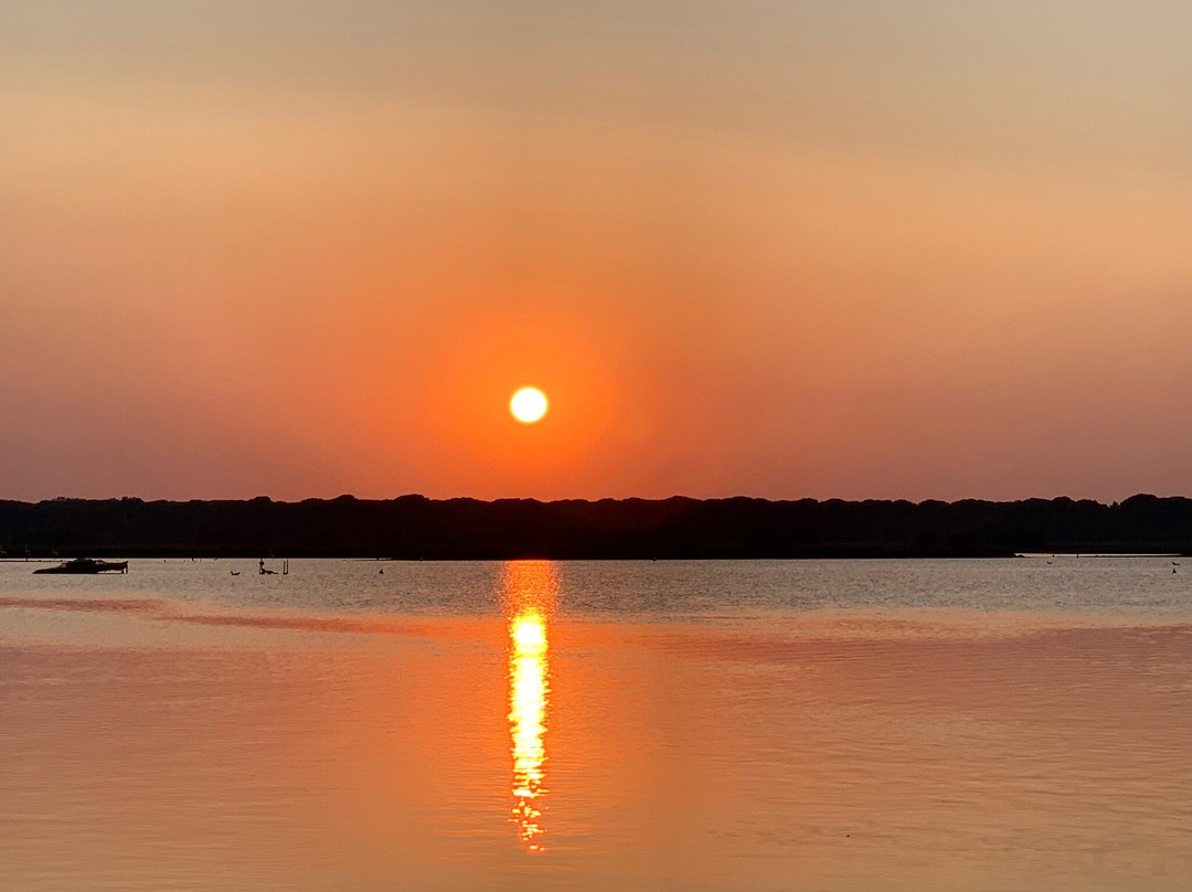 Birdwatching Marina Romea景点图片