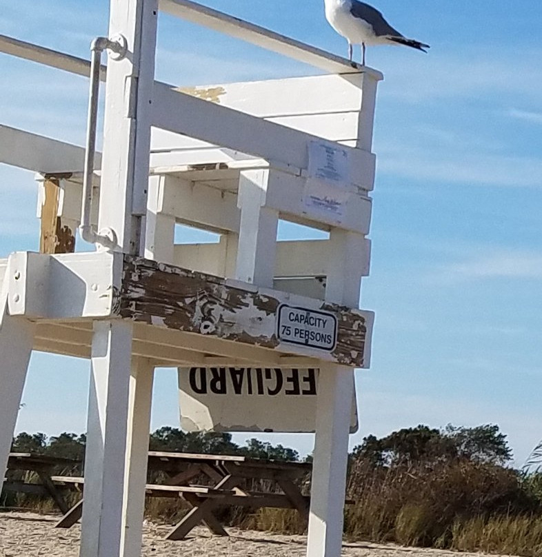 Wades Beach-Shelter Island必去景点
