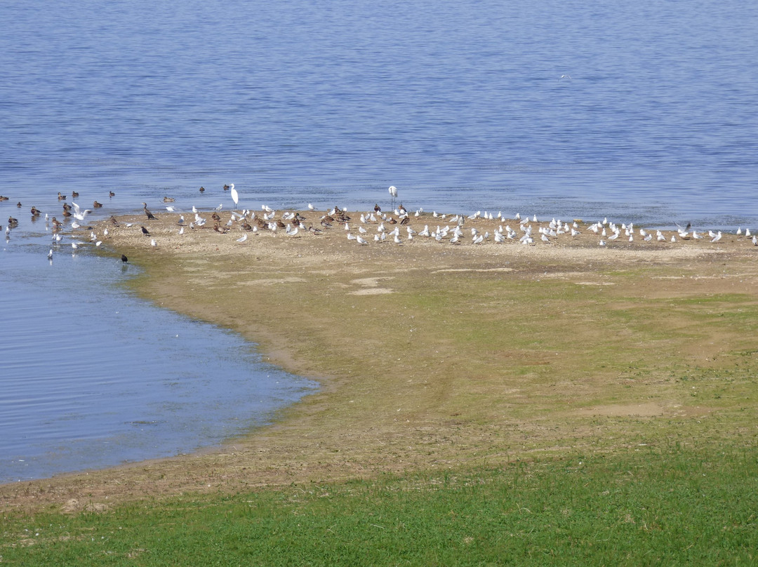 Lac du Der-Chantecoq-Giffaumont-Champaubert必去景点