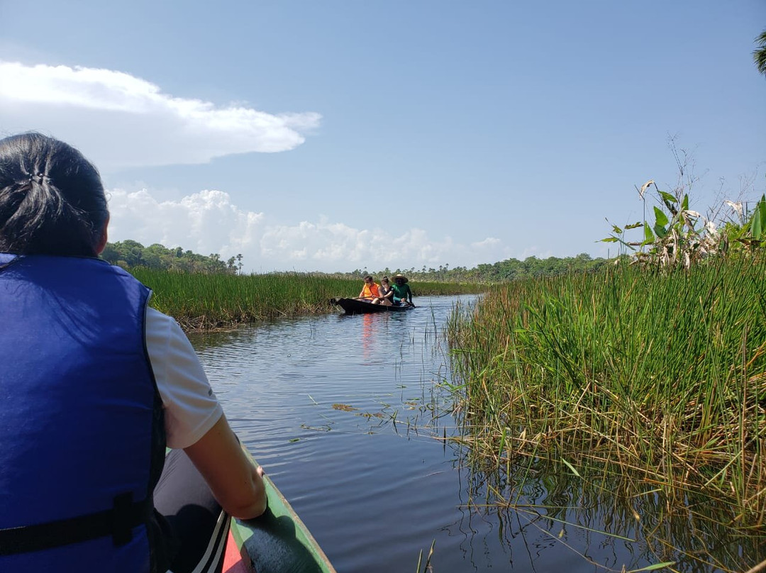 Bioparque Municipal de Macapa-Macapa必去景点
