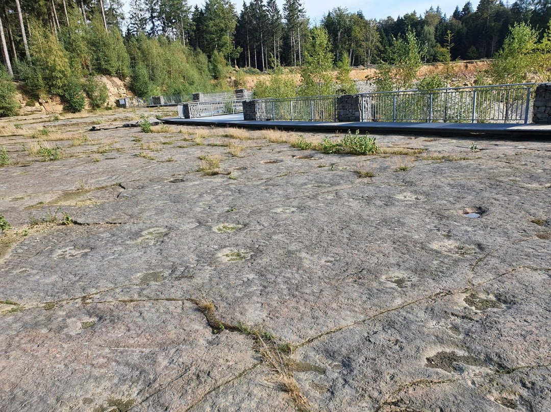Dinosaur tracks-Obernkirchen必去景点