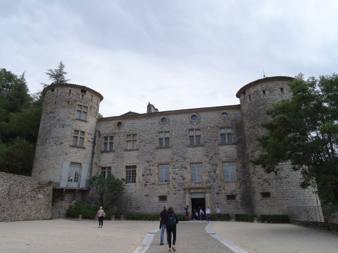 Château de Vogüé景点图片