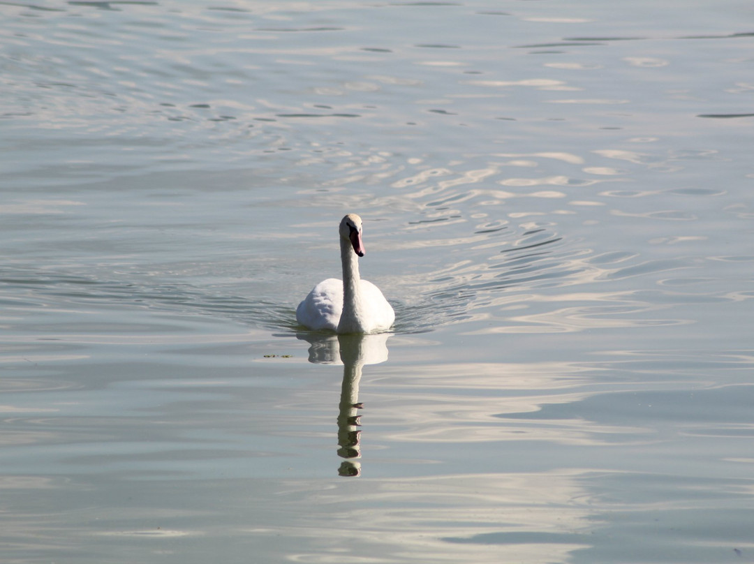 Guest House Bole主图