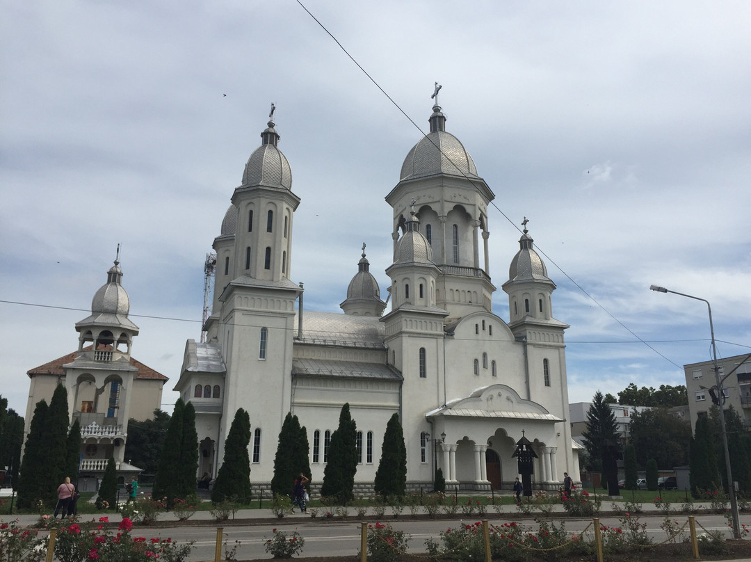 Orthodox Cathedral St Dimitrie景点图片