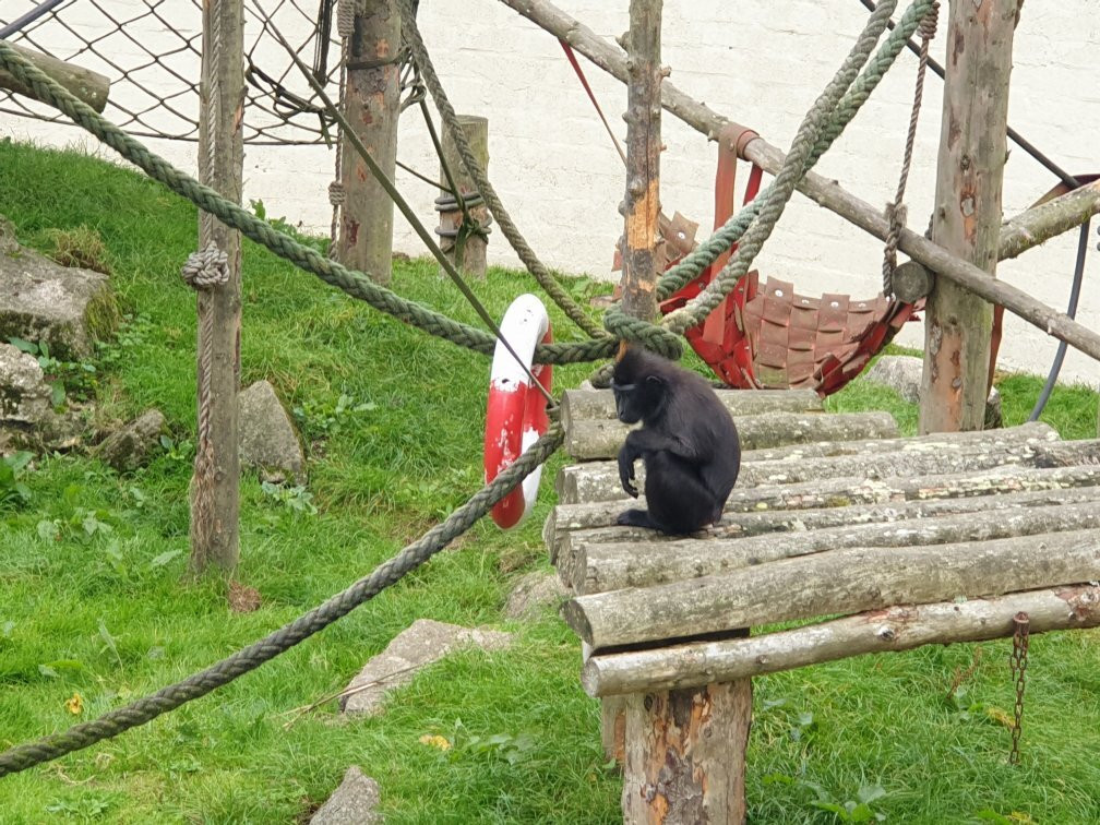 Newquay Zoo景点图片