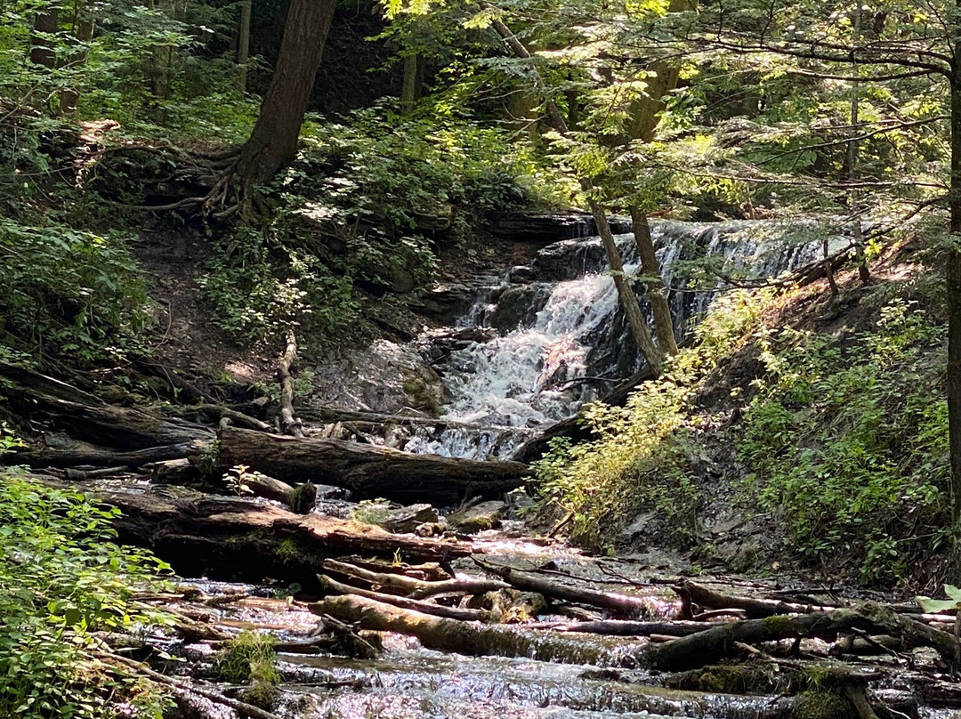 Harrison Park-Owen Sound必去景点