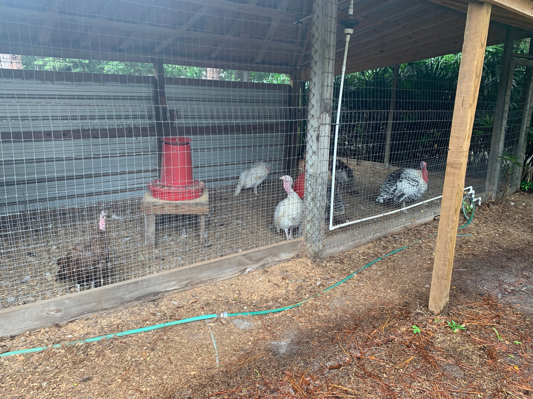 Lake Meadow Naturals-Ocoee必去景点