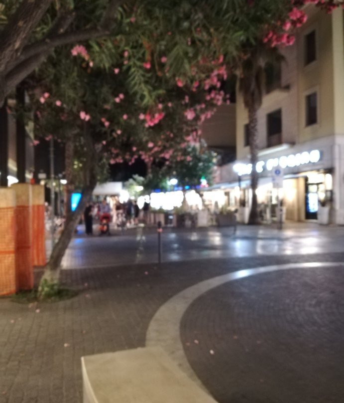 Viale Secondo Moretti-圣贝内代托-德尔特龙托必去景点