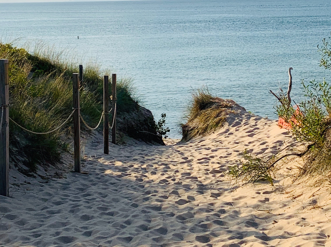 Dune Succession Trail景点图片