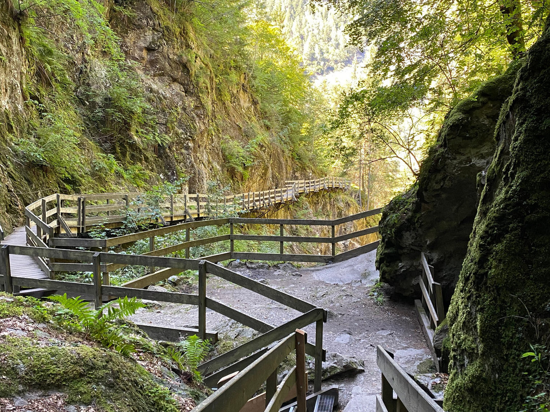 Gorges Mystérieuses de Tête Noire景点图片