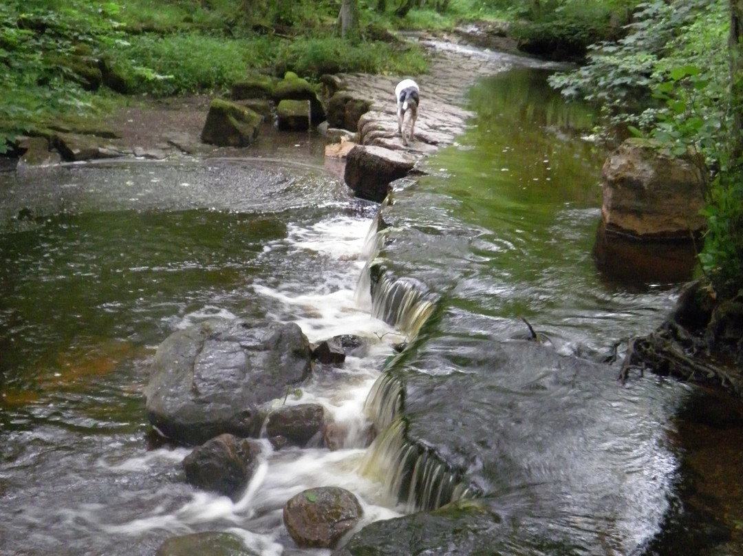 Deepdale Nature Reserve-Barnard Castle必去景点