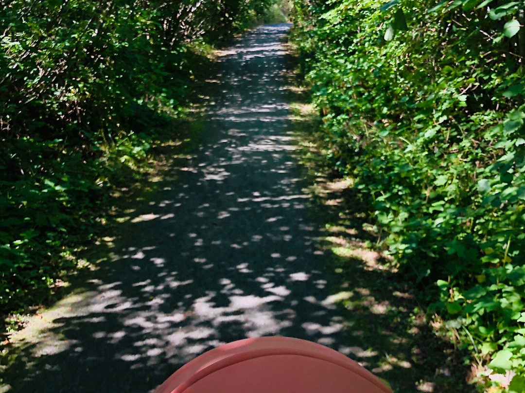 Ternstigen nature reserve-Vrango必去景点