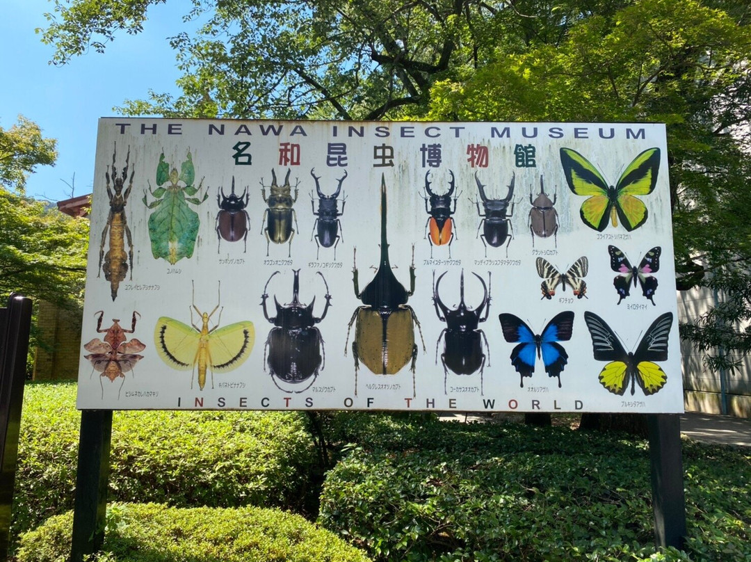 Nawa Insect Museum-岐阜市必去景点