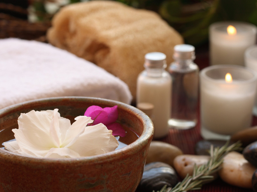 Vasuki Ayurveda景点图片