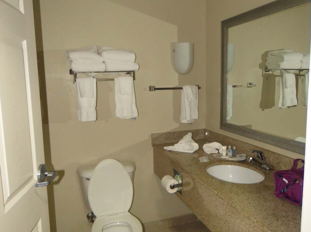 Comfort Suites主图