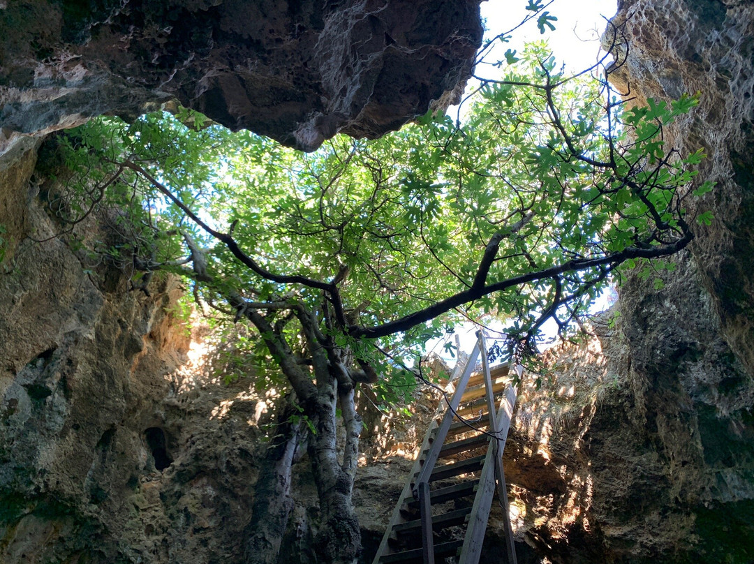 Vreiko Cave景点图片