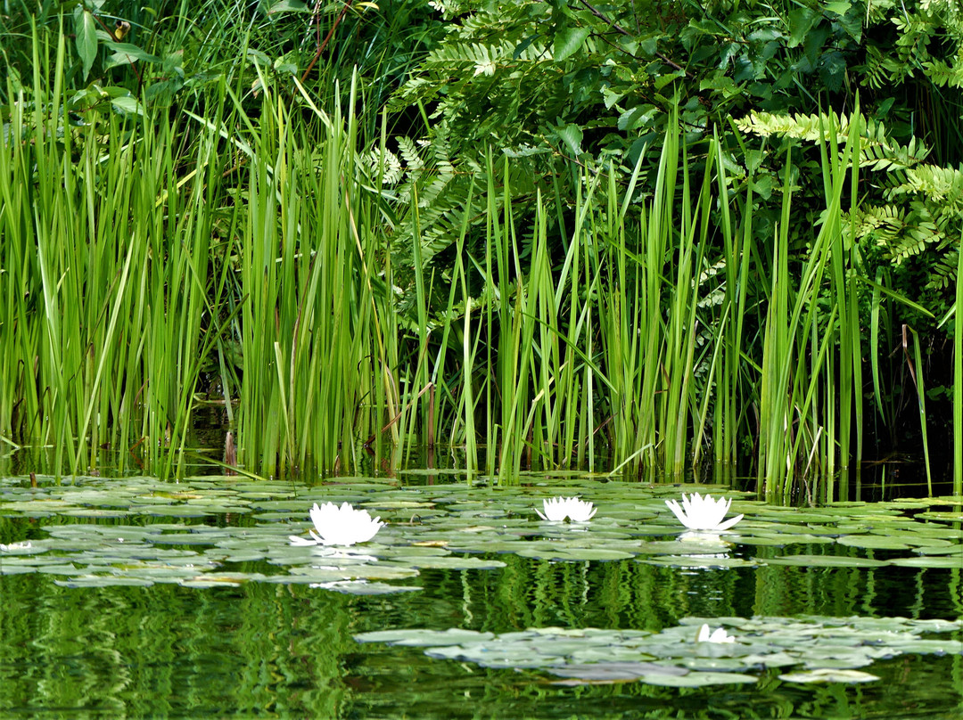 Clyde River Recreation-West Charleston必去景点