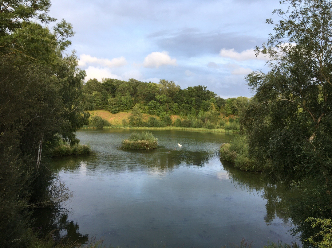 Ryton Pools Country Park景点图片