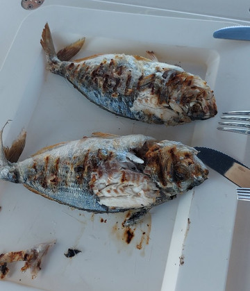 CST Tropea-特罗佩阿必去景点