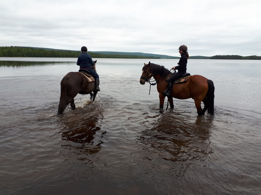 Arctic Nature Trips-罗瓦涅米必去景点