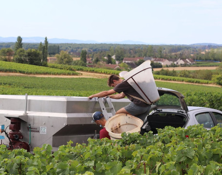 Domaine Francois Lumpp-Givry必去景点