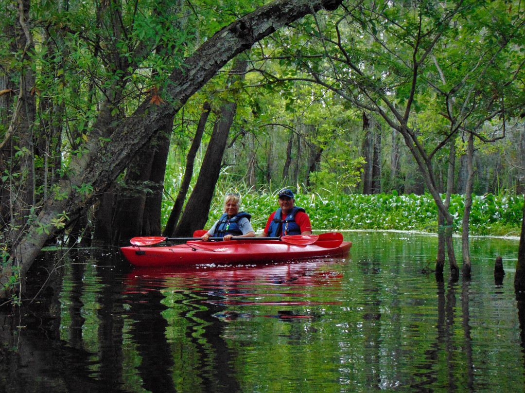 Gator Bait Adventure Tours-美特尔海滩必去景点