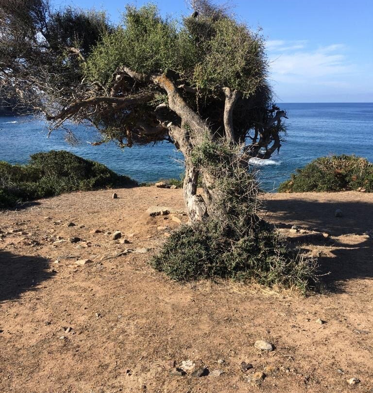 Ranch 4 Mori-Buggerru必去景点