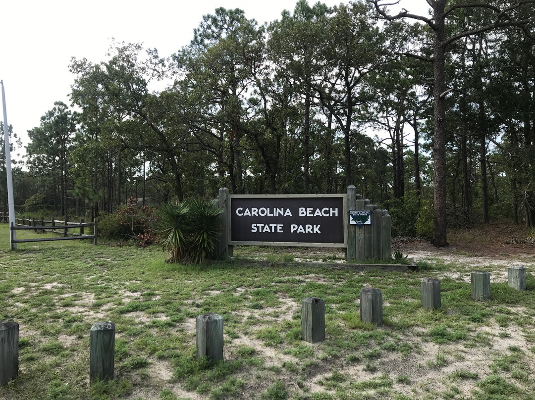 Carolina Beach State Park景点图片