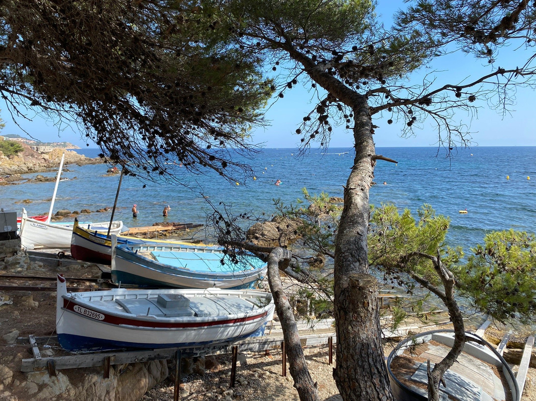 Plage de la Verne景点图片