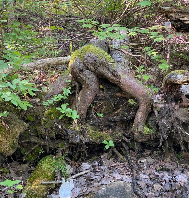 George Crosby Manitou State Park-Finland必去景点