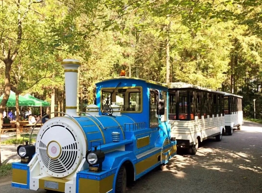 Relaxing and ecological experience in Chongming, Shanghai.-崇明县必去景点