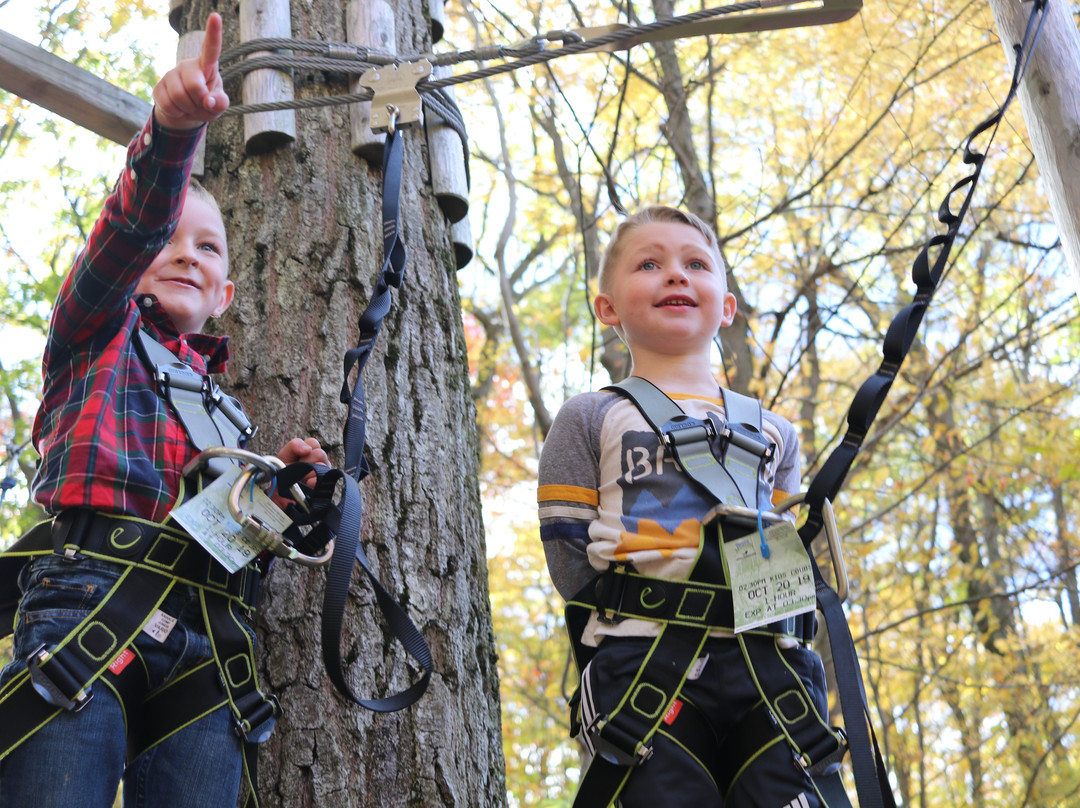 Bristol Mountain Aerial Adventures-卡南代瓜必去景点
