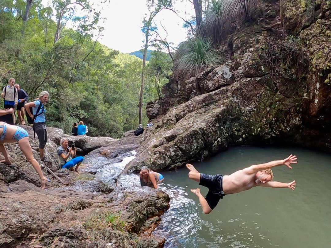 Beyond Byron E Bike Tours - Mullumbimby景点图片