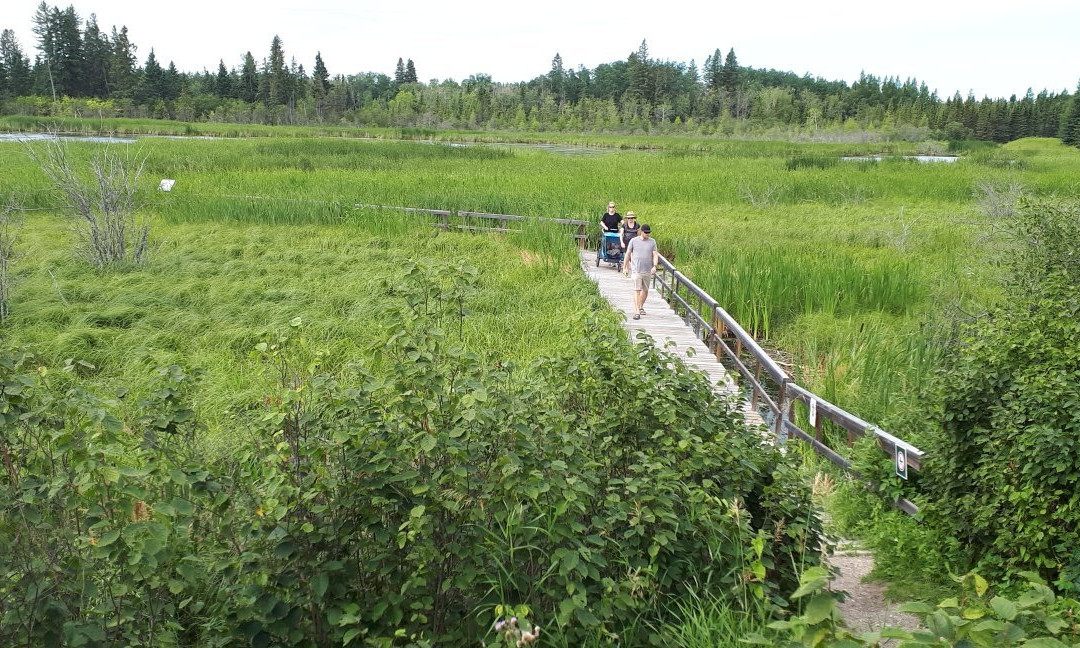 Ominik March Trail景点图片