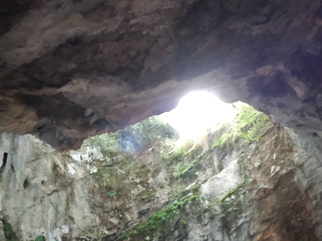 Cueva de las Güixas景点图片