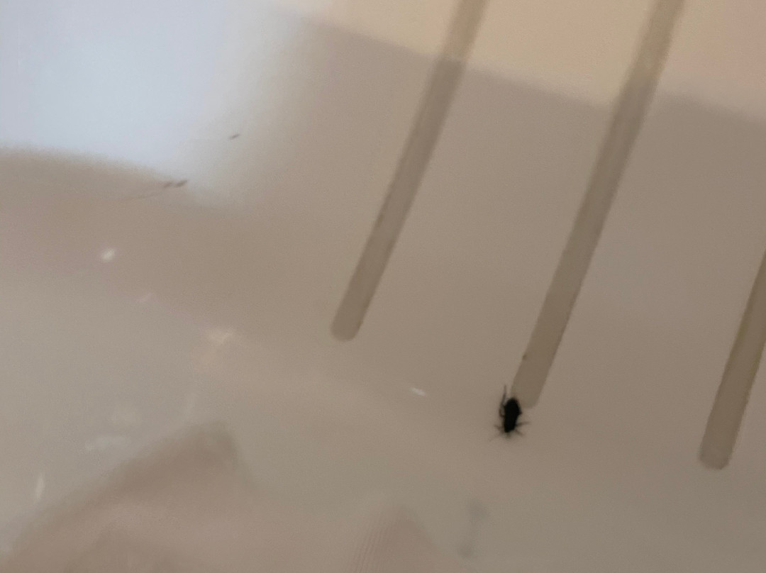 埃尔法罗公寓式酒店