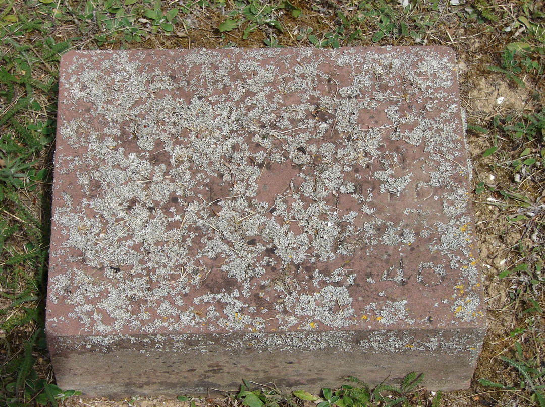 Deutscher Soldatenfriedhof-博韦必去景点
