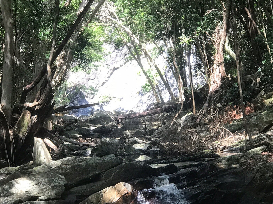 Hartley's Creek Falls景点图片