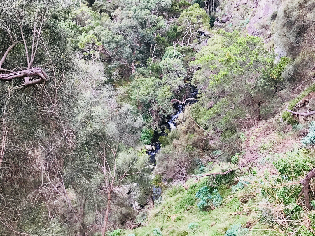 Carisbrook Waterfall-Wongarra必去景点