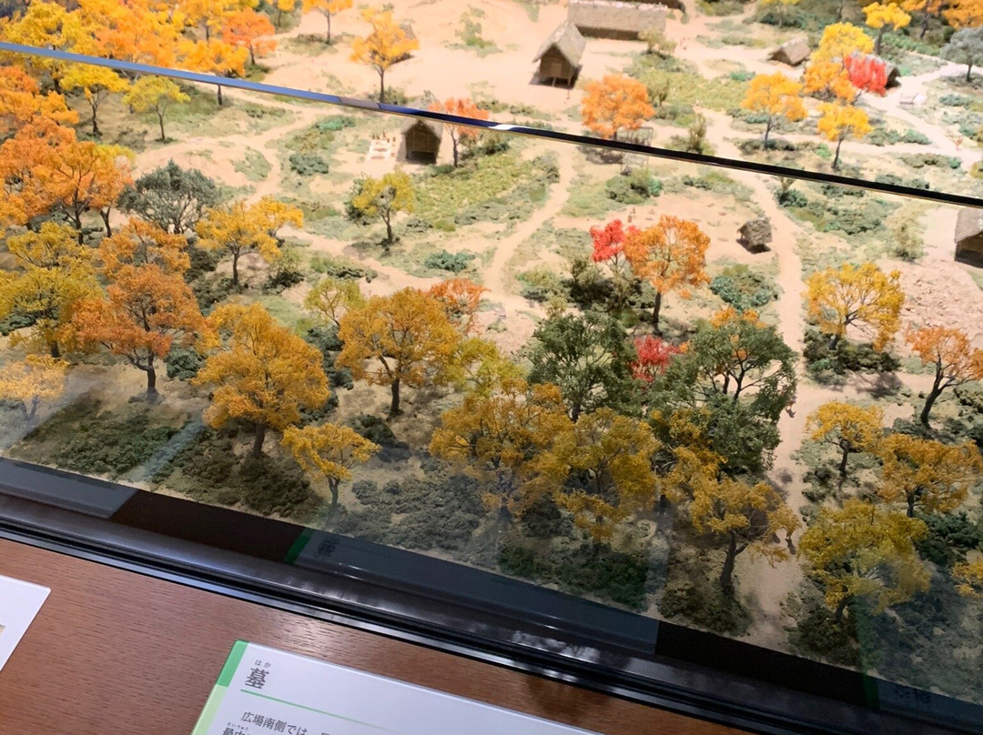 Gunma Prefectural Museum of History景点图片
