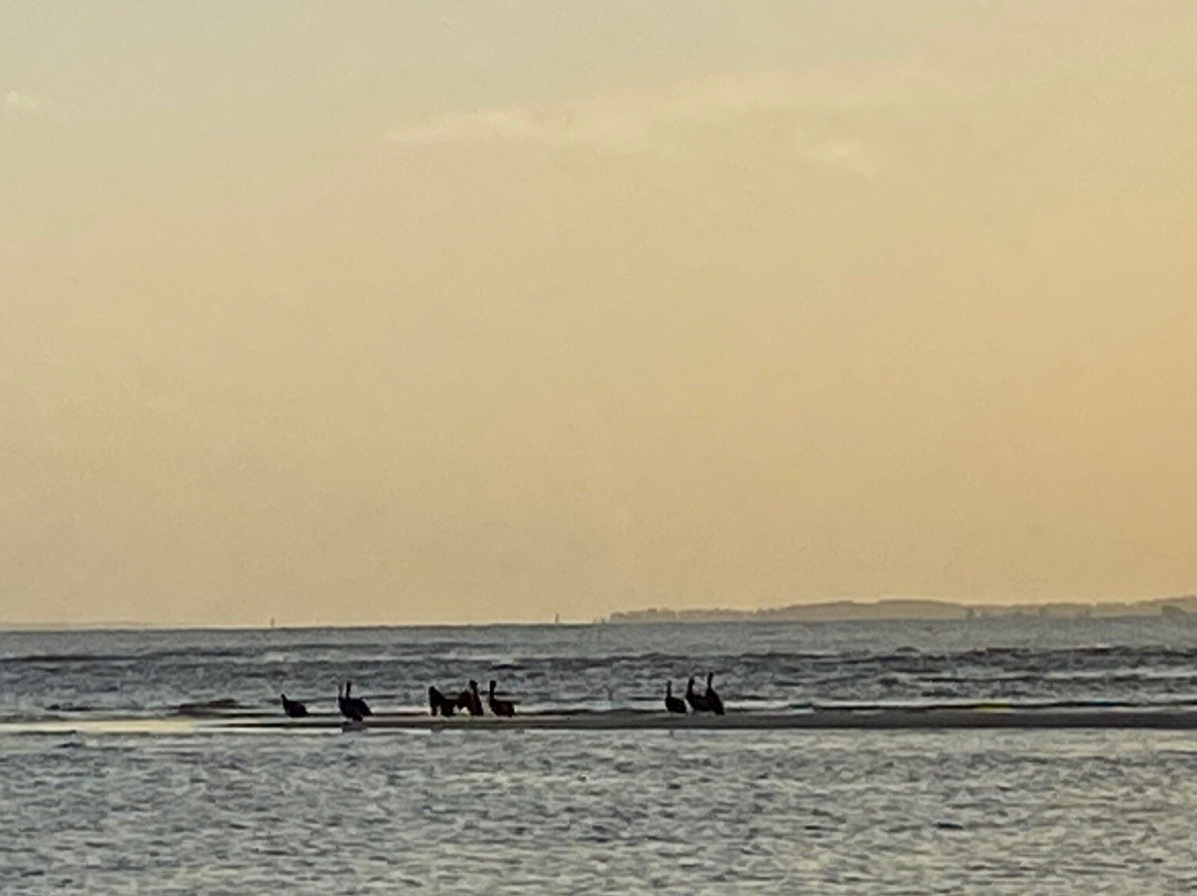 Fish Haul Beach Park-希尔顿头岛必去景点