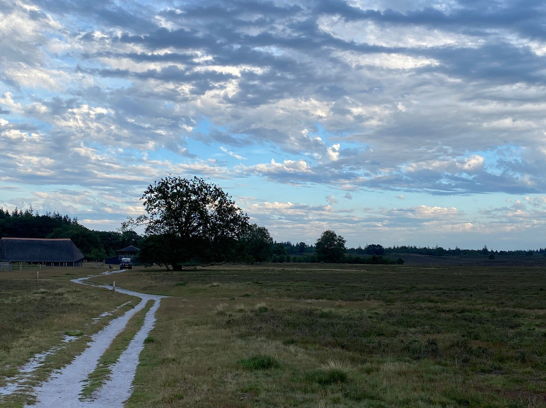 Renderklippen natuurgebied-Heerde必去景点