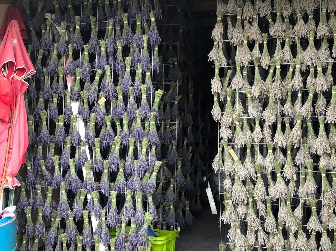 Sage Creations Organic Farm-Palisade必去景点